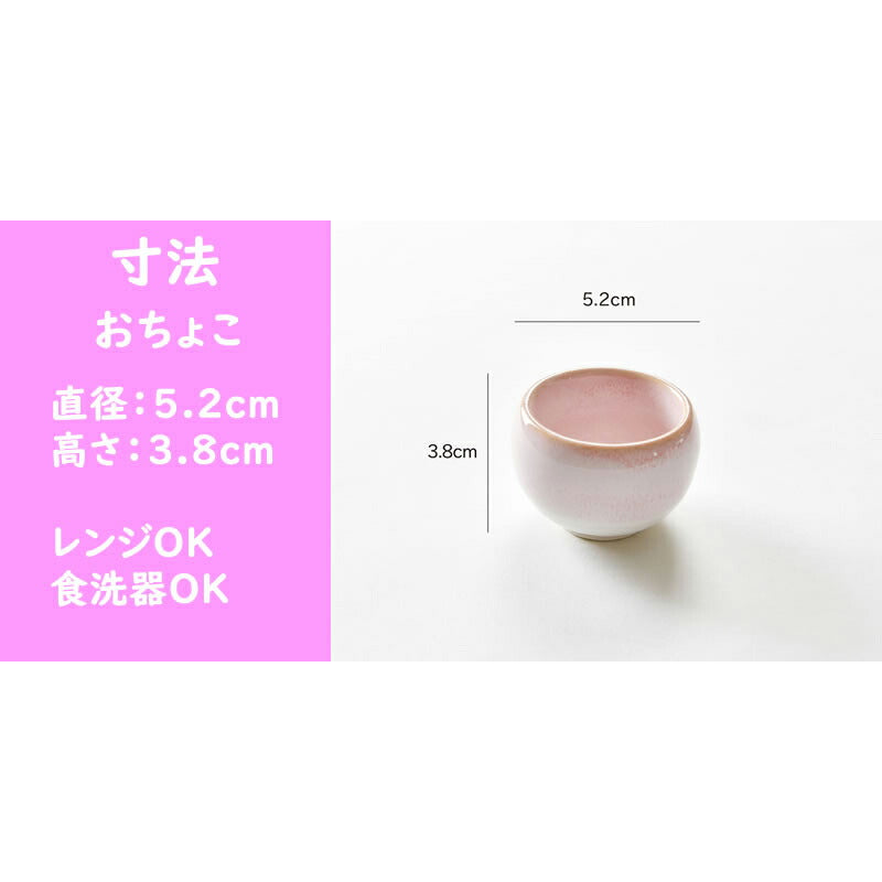 桜流し プチ乾杯酒器セット
