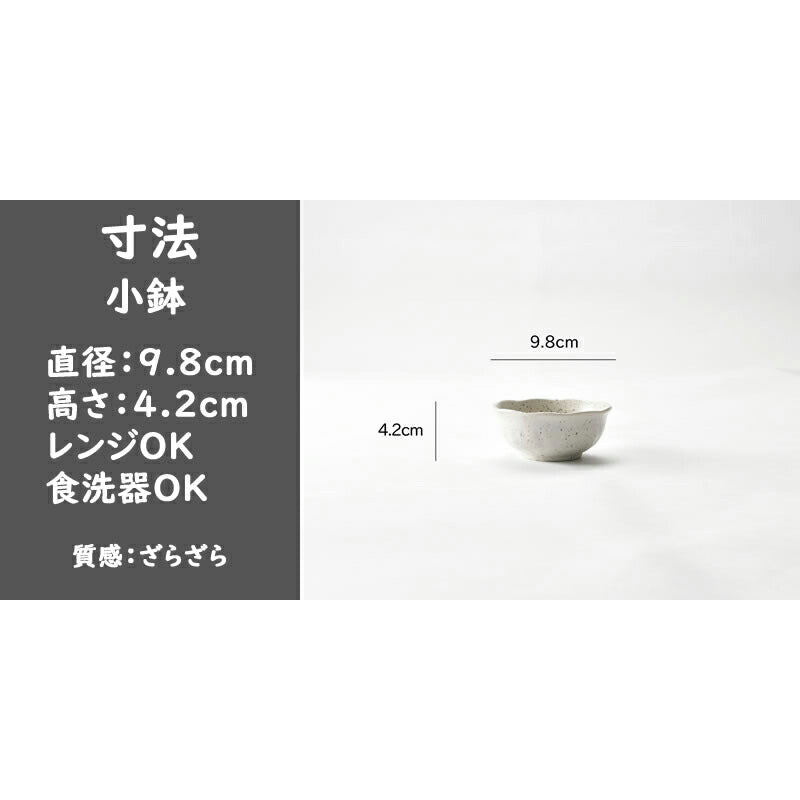 お得な和食器10点セット