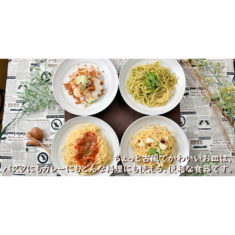 シックでおしゃれなカンナ柄カレー皿4枚セット