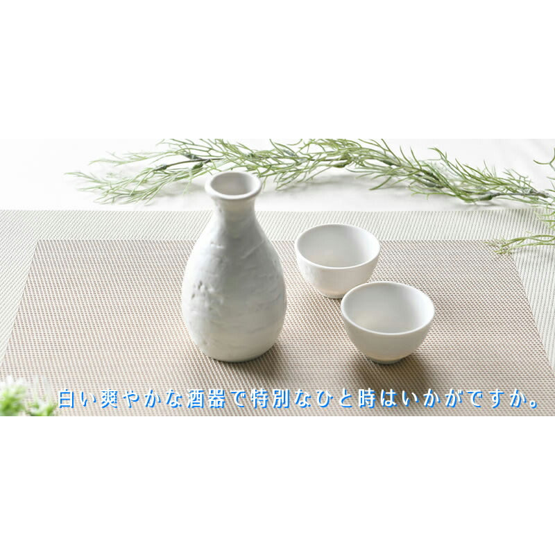 白いオシャレな酒器3点セット 白涼