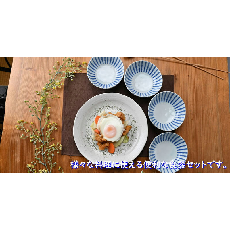 大皿料理セット大皿1枚 取り鉢4個