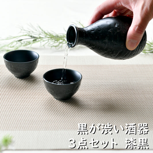 黒が渋い酒器３点セット 漆黒