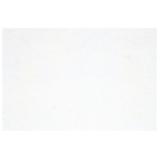 尺3雲竜和紙まっと 100枚入 白雲竜・無地 [ 約26 x 39cm ] 懐石マット